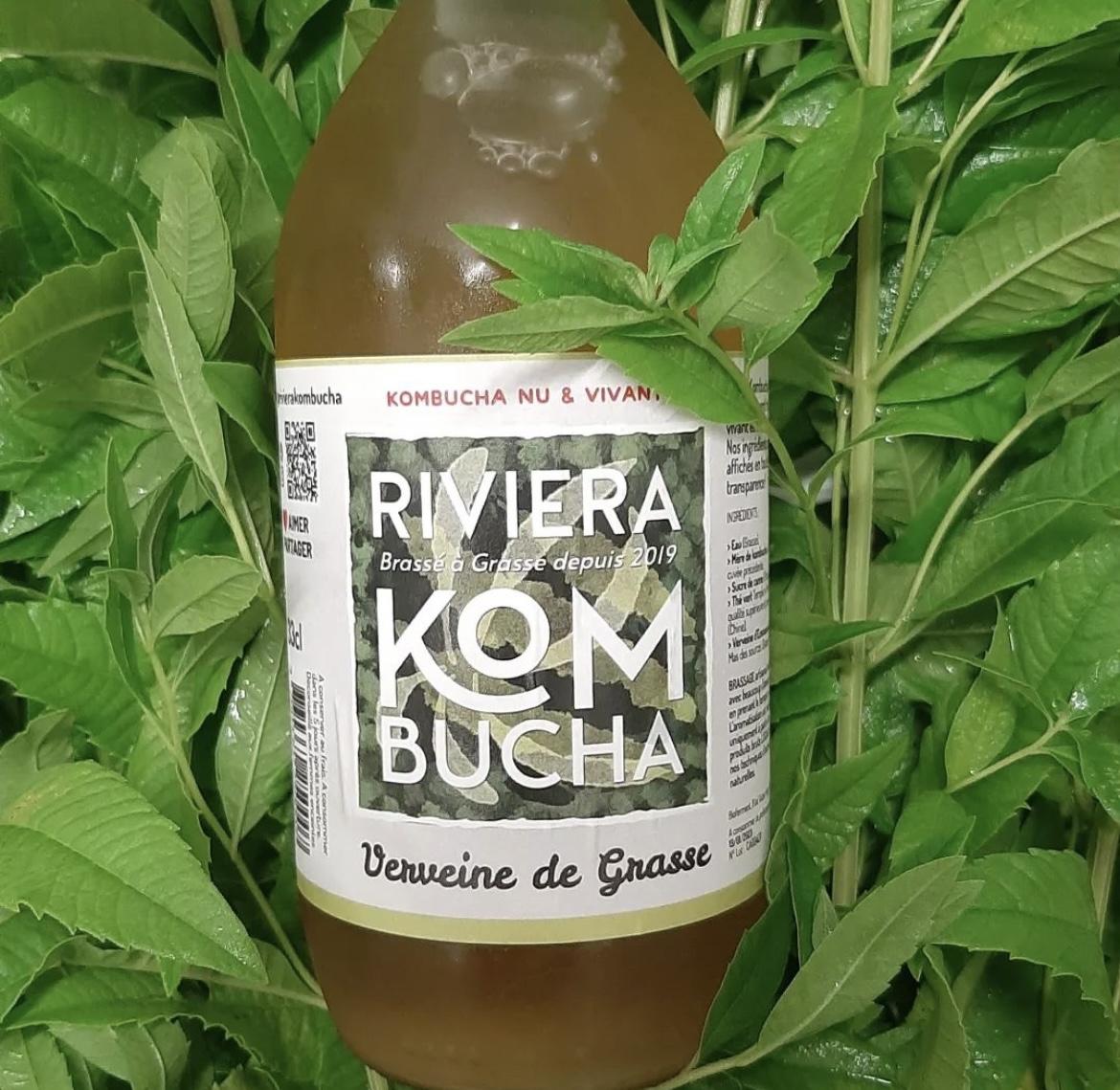 Riviera Kombucha Riviera Kombucha