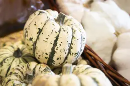 699-biocoop-rouret-piccoline-magasin-bio-courge-verte-legume-saison.webp