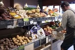 699-biocoop-rouret-piccoline-magasin-bio-legume-fruit-patate-carotte.webp